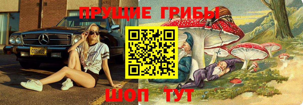 Псилоцибиновые грибы Cubensis  Вход с VPN  Железноводск  Галлюциногенные грибы Psilocybe 