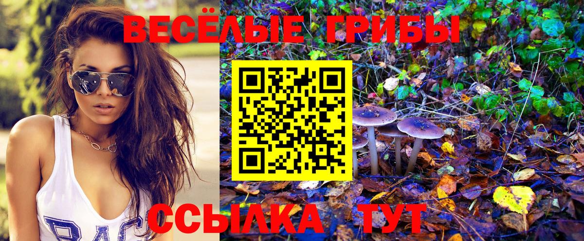 Псилоцибиновые грибы прущие грибы Железноводск